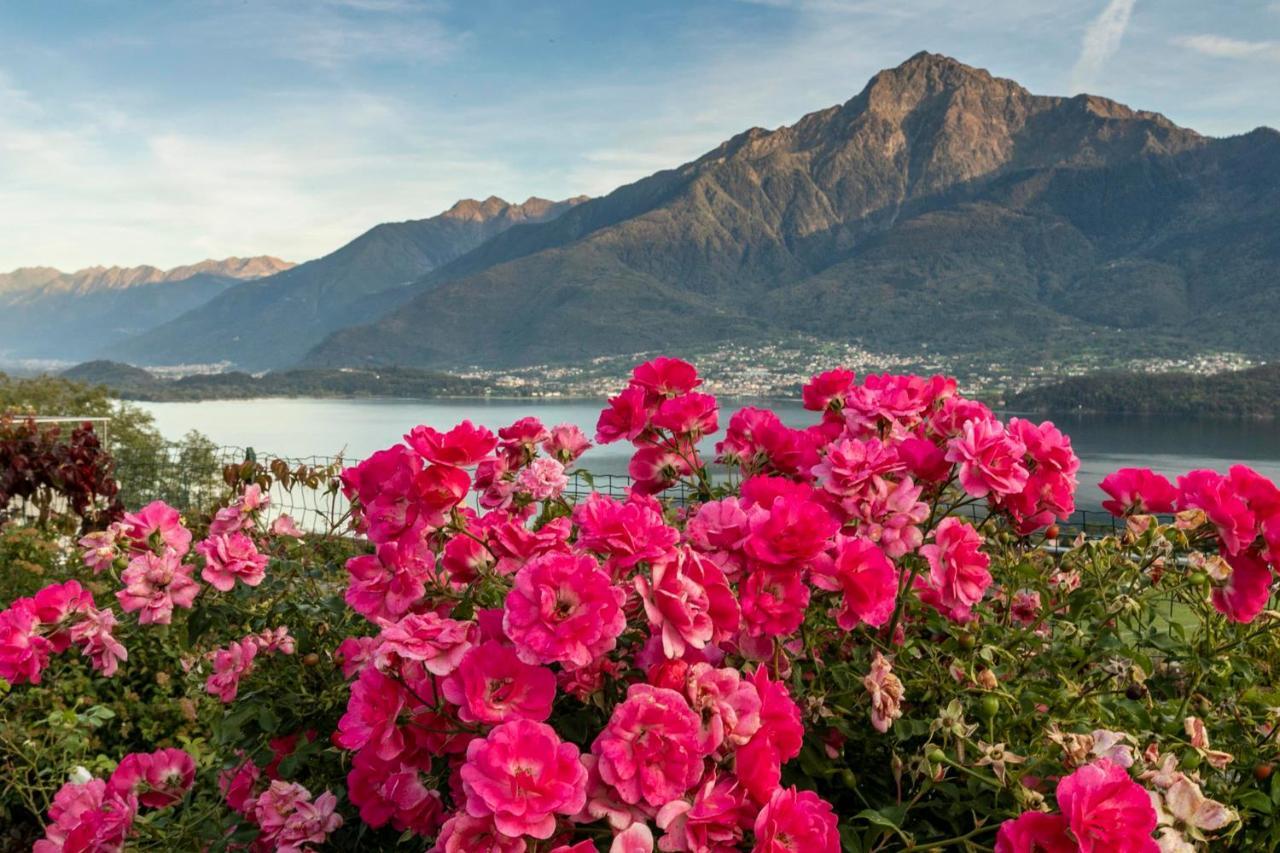 La Collina Dei Fiori Apartment Vercana Bagian luar foto